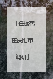 任振鹤在庆阳市调研