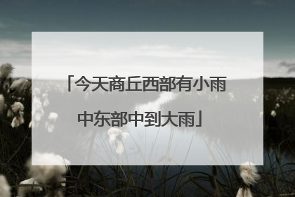 今天商丘西部有小雨 中东部中到大雨