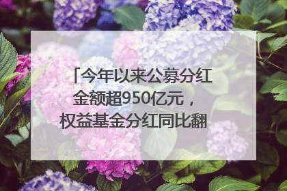 今年以来公募分红金额超950亿元，权益基金分红同比翻倍｜招财猫