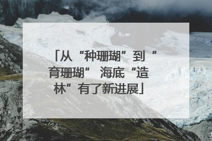 从“种珊瑚”到“育珊瑚” 海底“造林”有了新进展