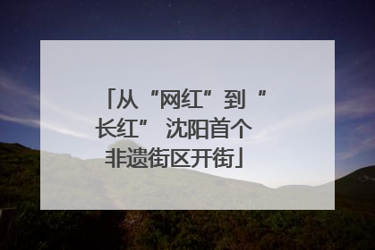 从“网红”到“长红” 沈阳首个非遗街区开街