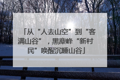 从“人去山空”到“客满山谷”，黑麋峰“新村民”唤醒沉睡山谷