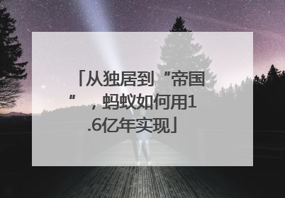 从独居到“帝国”，蚂蚁如何用1.6亿年实现