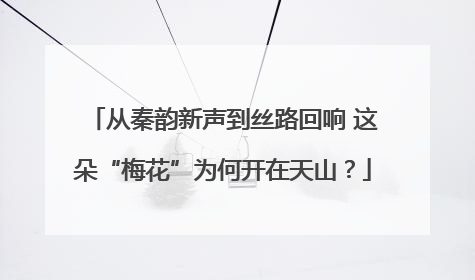 从秦韵新声到丝路回响 这朵“梅花”为何开在天山？