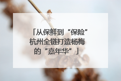 从保鲜到“保险” 杭州全链打造杨梅的“嘉年华”