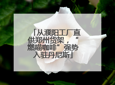 从濮阳工厂直供郑州货架，“燃喵咖啡”强势入驻丹尼斯