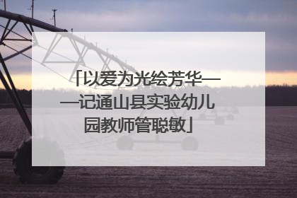 以爱为光绘芳华——记通山县实验幼儿园教师管聪敏