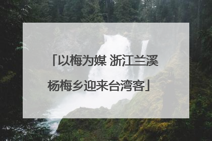 以梅为媒 浙江兰溪杨梅乡迎来台湾客