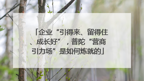 企业“引得来、留得住、成长好”，普陀“营商引力场”是如何炼就的