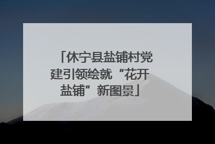 休宁县盐铺村党建引领绘就“花开盐铺”新图景