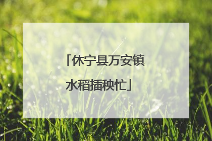 休宁县万安镇水稻插秧忙