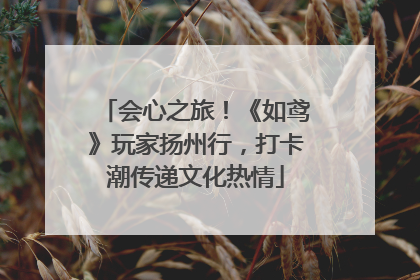 会心之旅！《如鸢》玩家扬州行，打卡潮传递文化热情