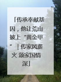传承奉献基因，他让荒山披上“黄金甲”｜传家风薪火 颂家国情深
