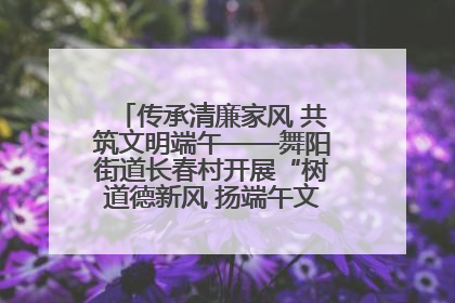 传承清廉家风 共筑文明端午——舞阳街道长春村开展“树道德新风 扬端午文化”主题活动
