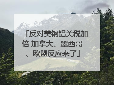 反对美钢铝关税加倍 加拿大、墨西哥、欧盟反应来了