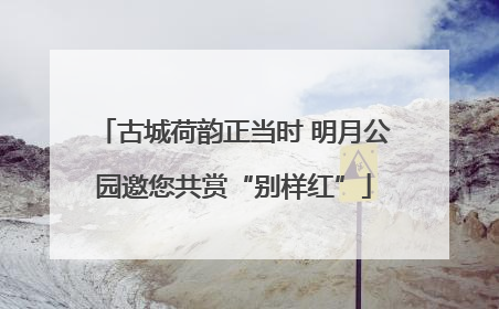 古城荷韵正当时 明月公园邀您共赏“别样红”