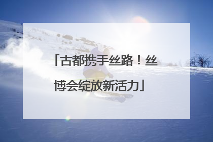 古都携手丝路！丝博会绽放新活力