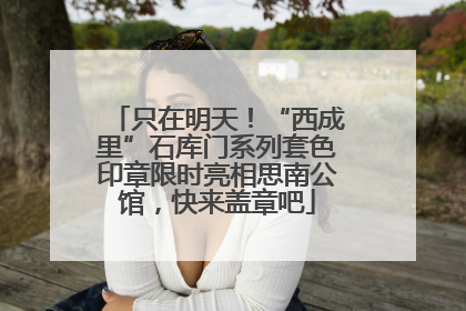 只在明天！“西成里”石库门系列套色印章限时亮相思南公馆，快来盖章吧