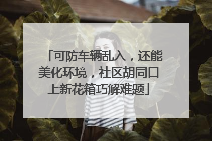 可防车辆乱入，还能美化环境，社区胡同口上新花箱巧解难题
