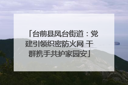台前县凤台街道：党建引领织密防火网 干群携手共护家园安