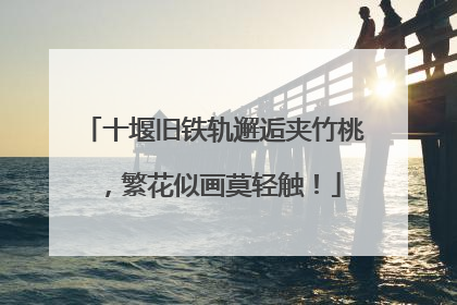 十堰旧铁轨邂逅夹竹桃，繁花似画莫轻触！