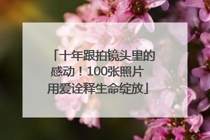 十年跟拍镜头里的感动！100张照片用爱诠释生命绽放