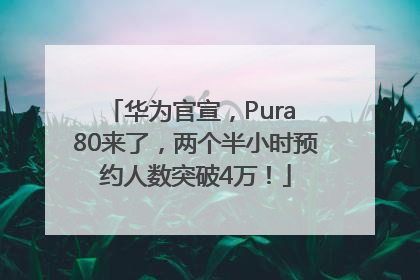 华为官宣，Pura 80来了，两个半小时预约人数突破4万！