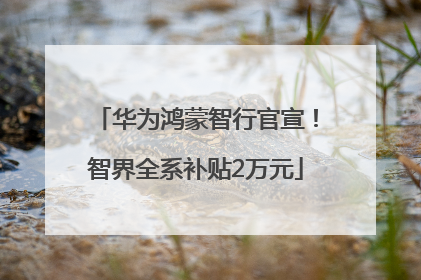 华为鸿蒙智行官宣！智界全系补贴2万元