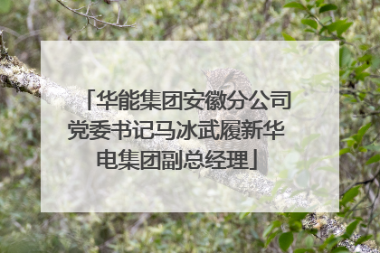 华能集团安徽分公司党委书记马冰武履新华电集团副总经理