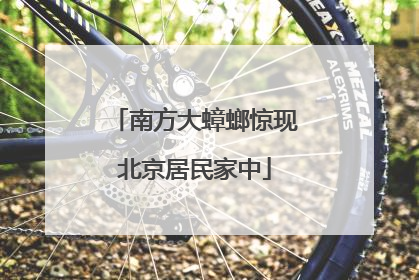 南方大蟑螂惊现北京居民家中