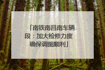 南铁南昌南车辆段：加大检修力度确保调图顺利