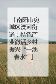 南阳市宛城区溧河街道：特色产业激活乡村振兴“一池春水”