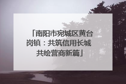 南阳市宛城区黄台岗镇：共筑信用长城 共绘营商新篇