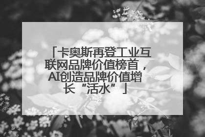 卡奥斯再登工业互联网品牌价值榜首，AI创造品牌价值增长“活水”