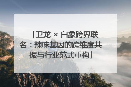 卫龙 × 白象跨界联名：辣味基因的跨维度共振与行业范式重构