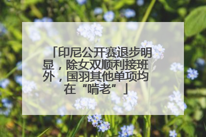 印尼公开赛退步明显，除女双顺利接班外，国羽其他单项均在“啃老”