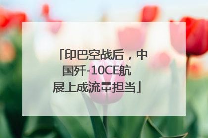 印巴空战后，中国歼-10CE航展上成流量担当