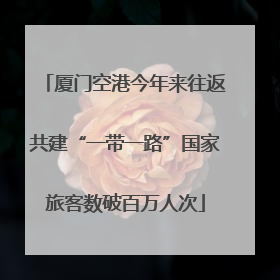 厦门空港今年来往返共建“一带一路”国家旅客数破百万人次