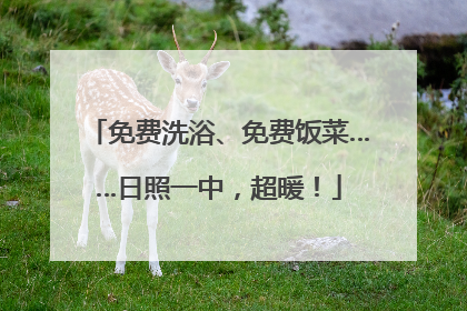 免费洗浴、免费饭菜……日照一中，超暖！