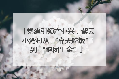 党建引领产业兴，紫云小湾村从 “靠天吃饭” 到 “抱团生金”