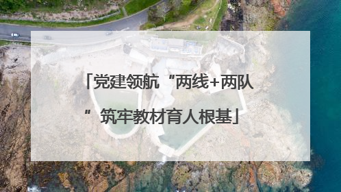 党建领航“两线+两队”筑牢教材育人根基