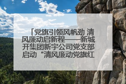 党旗引领风帆劲 清风廉动启新程——新城开集团新宇公司党支部启动“清风廉动党旗红”系列活动