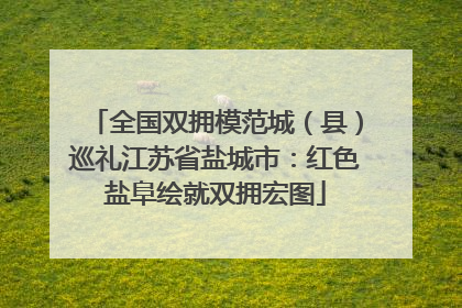 全国双拥模范城（县）巡礼江苏省盐城市：红色盐阜绘就双拥宏图
