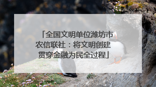 全国文明单位潍坊市农信联社：将文明创建贯穿金融为民全过程