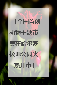 全国首创动物主题市集在哈尔滨极地公园火热开市
