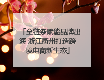 全链条赋能品牌出海 浙江衢州打造跨境电商新生态