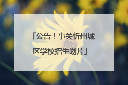 公告！事关忻州城区学校招生划片