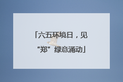 六五环境日，见“郑”绿意涌动