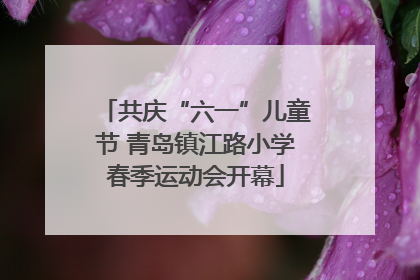 共庆“六一”儿童节 青岛镇江路小学春季运动会开幕