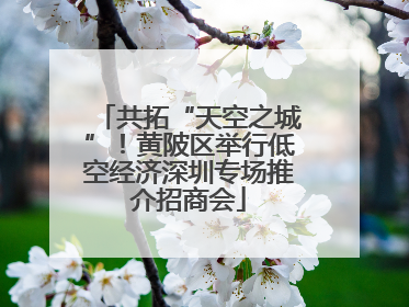 共拓“天空之城”！黄陂区举行低空经济深圳专场推介招商会
